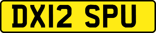 DX12SPU