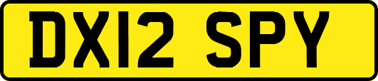 DX12SPY