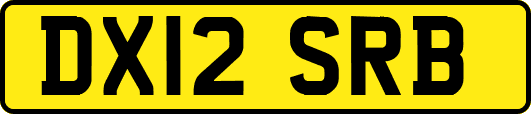DX12SRB
