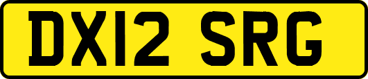 DX12SRG