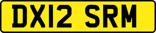 DX12SRM