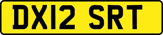 DX12SRT