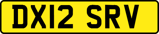 DX12SRV