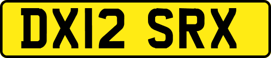 DX12SRX