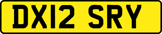 DX12SRY
