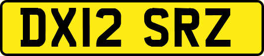 DX12SRZ