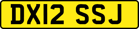 DX12SSJ