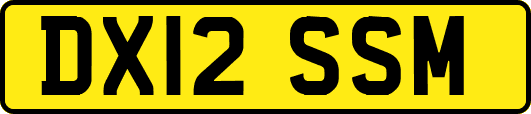 DX12SSM