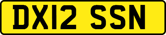 DX12SSN