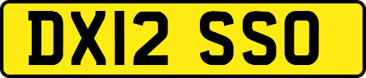 DX12SSO
