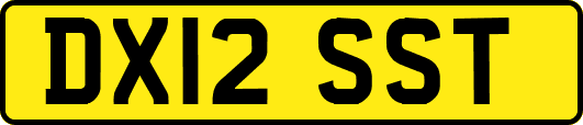 DX12SST