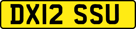 DX12SSU