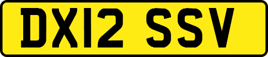 DX12SSV