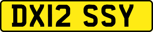 DX12SSY