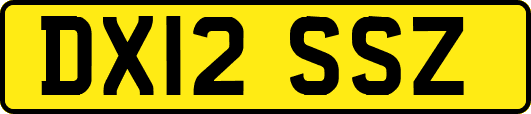 DX12SSZ