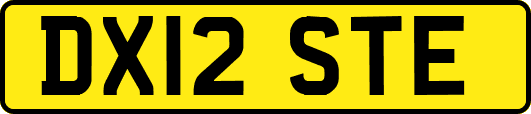 DX12STE