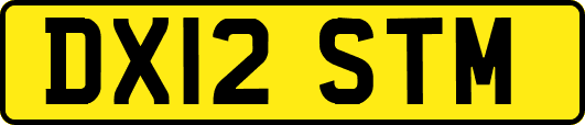 DX12STM