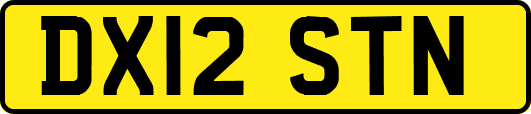 DX12STN