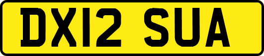 DX12SUA