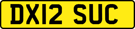 DX12SUC