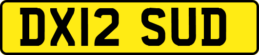 DX12SUD
