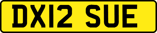 DX12SUE