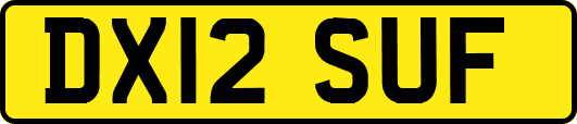 DX12SUF