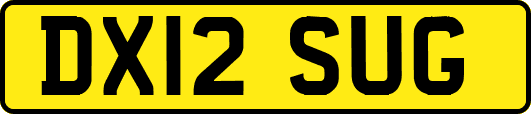 DX12SUG