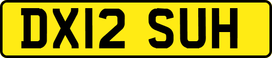 DX12SUH