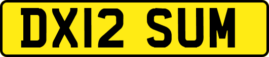 DX12SUM