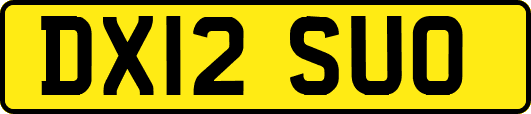 DX12SUO