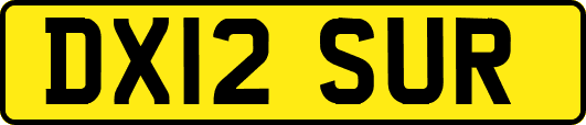 DX12SUR