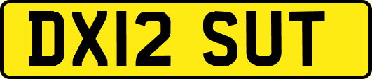 DX12SUT
