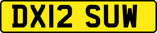 DX12SUW