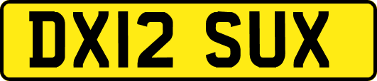 DX12SUX