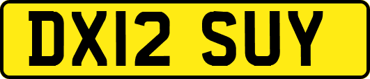 DX12SUY
