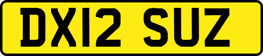 DX12SUZ