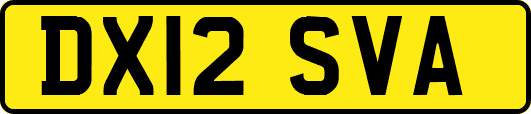 DX12SVA