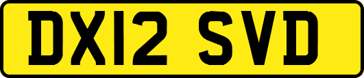 DX12SVD