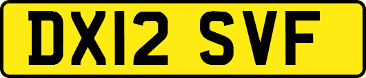 DX12SVF