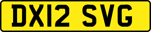 DX12SVG