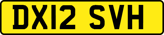 DX12SVH