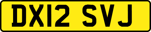 DX12SVJ