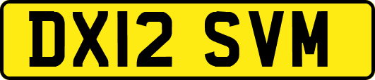 DX12SVM