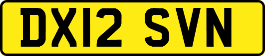 DX12SVN