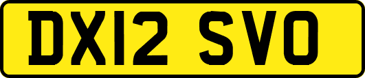 DX12SVO