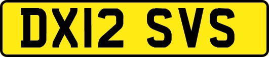 DX12SVS
