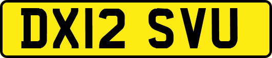 DX12SVU