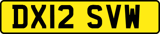 DX12SVW