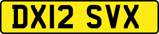 DX12SVX